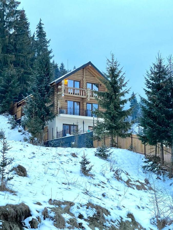 Chalet du Lac Colibiţa Extérieur photo