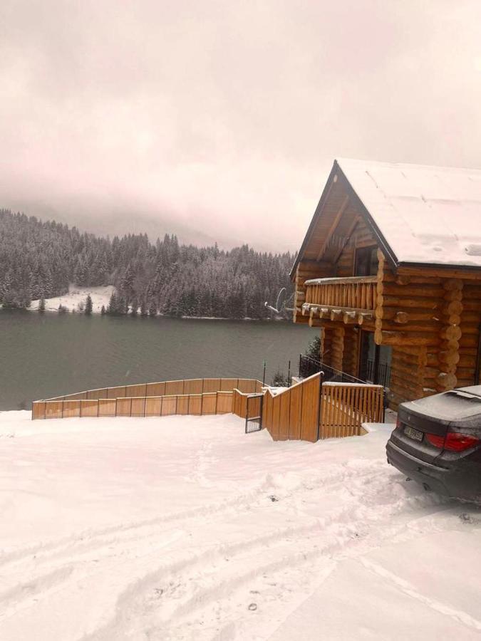 Chalet du Lac Colibiţa Extérieur photo